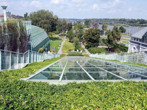 Park with trees, lawn and a pitched green roof with stairs